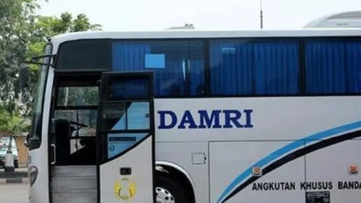 5 Kelas Bus yang ada di Po Damri, Bisa Kamu Coba Ketika Melakukan Perjalanan Mudik Nanti 