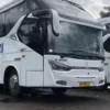 Sejarah Singkat Bus Damri, Bus yang Memiliki Peran Penting Dalam Perkembangan Tranportasi Umum di Indonesia 