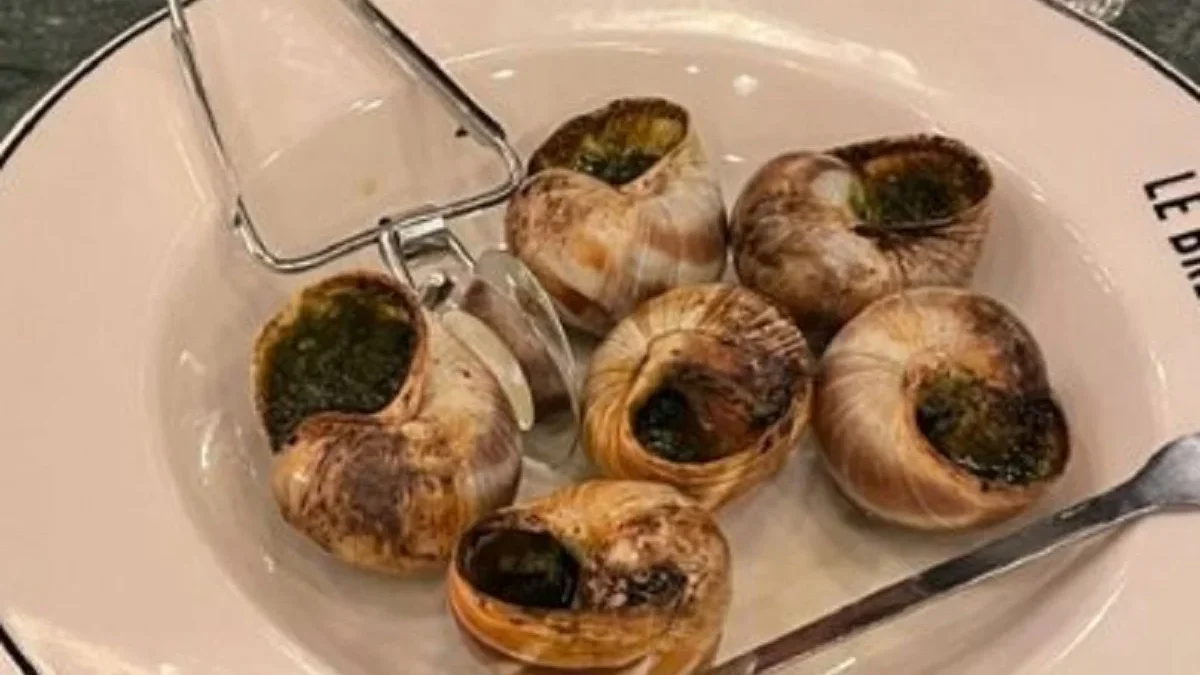5 Fakta Tentang Makanan Escargot, Makanan Mewah Khas Prancis yang Terbuat Dari Siput 