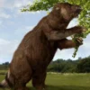 5 Fakta Menakjubkan Tentang Megatherium, Nenek Moyang Kukang Modern 