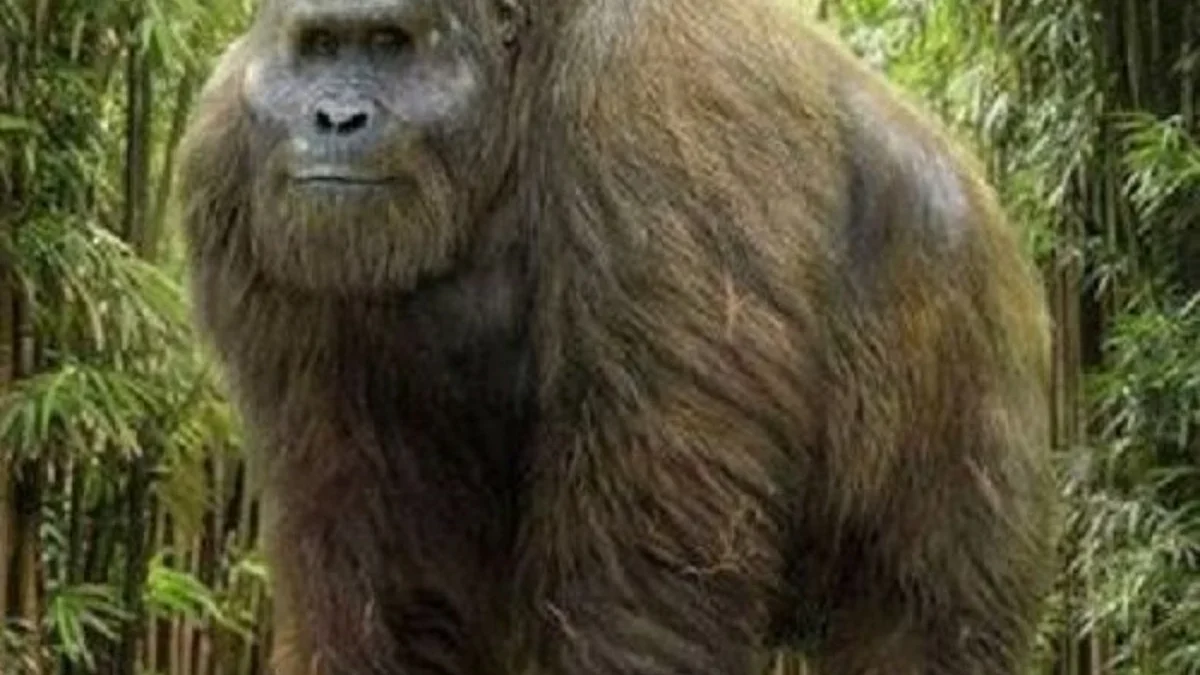 6 Fakta Menakjubkan Tentang Gigantopithecus, Primata Pra Sejarah yang Memiliki Ukuran Tubuh yang Sangat Besar 