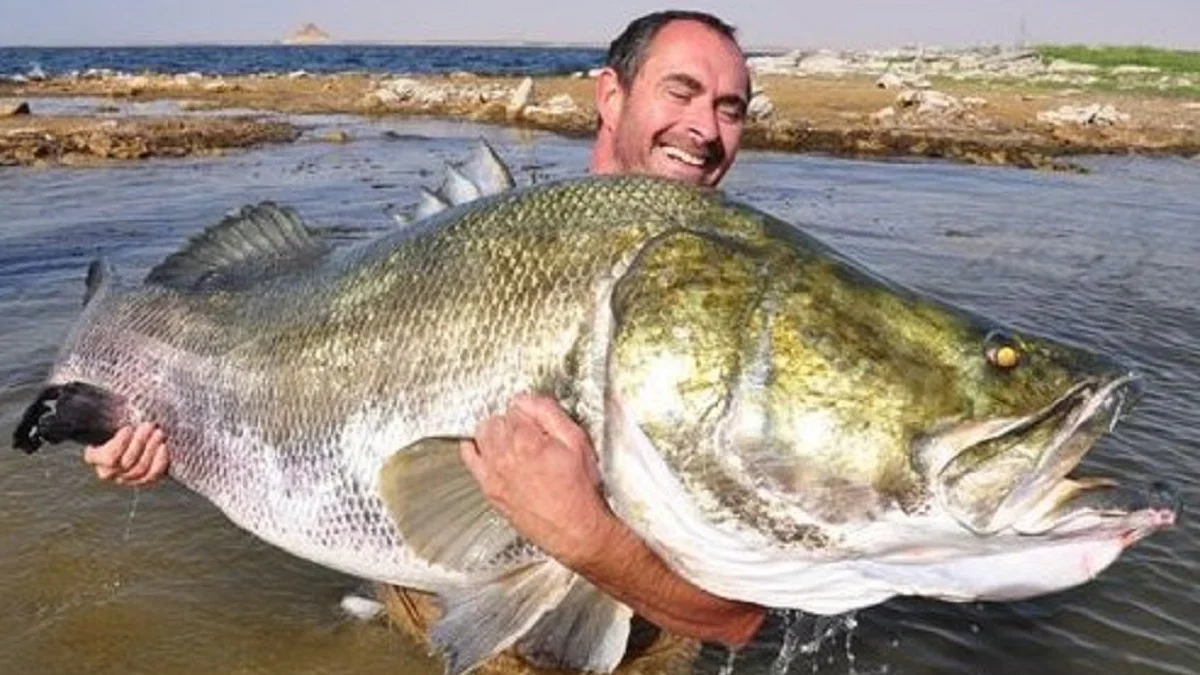 5 Fakta Tentang Ikan Nile Perch, Jenis Ikan yang Memiliki Ukuran yang Besar dan Hidup Di Sungai Nil 