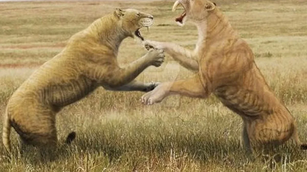 5 Fakta Mengenai Panthera Atrox, Singa Purba yang Pernah Hidup di Benua Amerika 