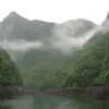7 Hewan yang ada di Sungai Yangtze, ada Juga Lumba-Lumba Endemik dari Sungai Yangtze yang Hampir Punah