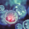 Apa itu embrio dan bagaimana proses pembentukannya