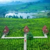 Menikmati Liburan Seru di Puncak Langit Camping Ground, Destinasi Wisata Berkemah Favorit di Bogor