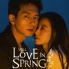 Sinopsis Drama China Terbaru Will Love In Spring    