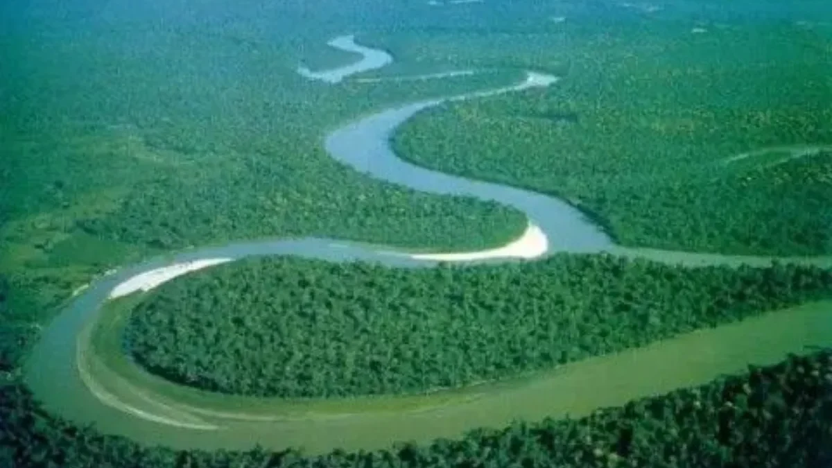 Fakta-Fakta Menarik Hutan Amazon yang Jarang Diketahui Semua Orang