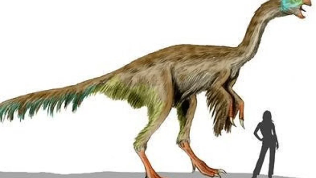 Pernah Menghuni Bumi 6 Burung Predator Raksasa Prasejarah yang Sangat Mengerikan 