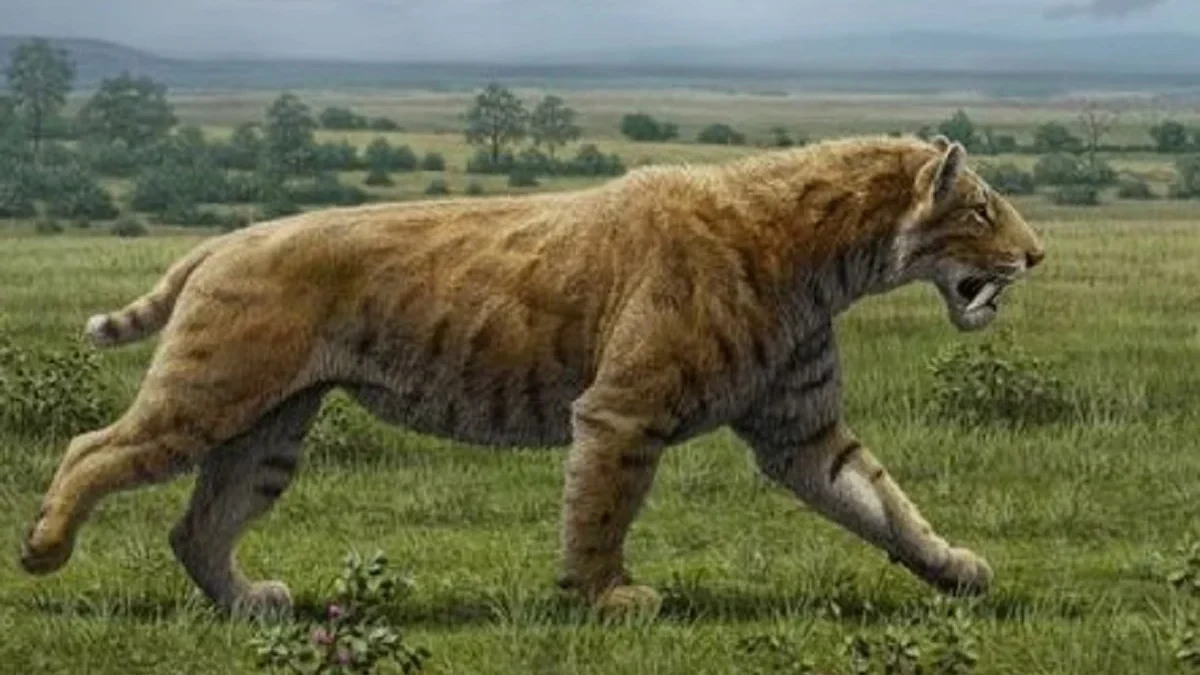 8 Kucing Besar yang Hidup di Era Prasejarah, Serta Memiliki Badan yang Sangat Besar juga Sangat Ganas 