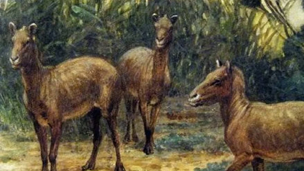 4 Spesies Kuda Purba yang Pernah ada dan hidup di Daratan Bumi