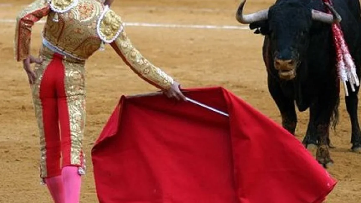 5 Fakta Mengenai Matador, Pertunjukan Khas Negara Spanyol