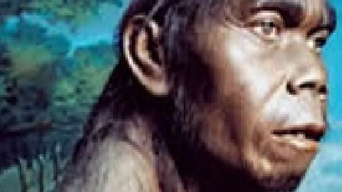 5 Fakta Mengenai Meganthropus Paleojavanicus, Manusia Purba yang Berasal dari Pulau Jawa 