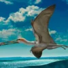 5 Reptil Terbang Zaman Purba Pernah Menghuni Bumi Selama Jutaan Tahun yang Lalu 