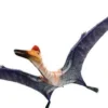 4 Fakta Tentang Pterodactylus, Reptil Terbang yang Sering Dianggap Dinosaurus 