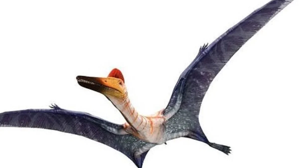 4 Fakta Tentang Pterodactylus, Reptil Terbang yang Sering Dianggap Dinosaurus 