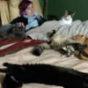 5 Manfaat Tidur Bersama Kucing yang Mungkin Belum Kamu Ketahui 