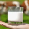 Mengenal Susu Evaporasi Pengganti Santan untuk Kurangi Kolesterol 