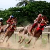 Melatih Kuda Pacu: Program Latihan Efektif untuk Meningkatkan Performa