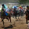 5 Cara Merawat Kuda Pacu: Panduan Lengkap untuk Pemula dan Penggemar