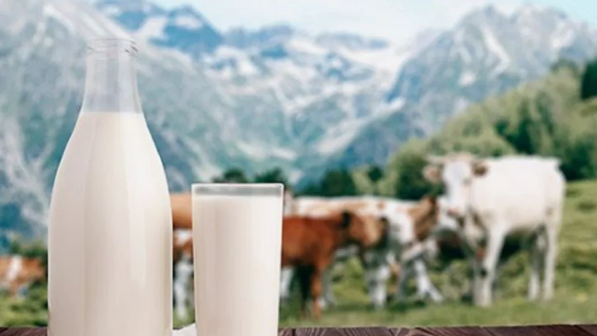 Konsumsi Susu UHT bagi Lansia, Ini Efek Positif dan Negatifnya!
