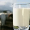 5 Manfaat Susu UHT Full Cream, Bantu Pertumbuhan Gigi dan Tulang Anak