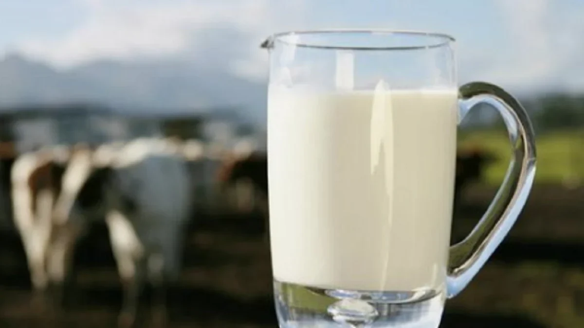 5 Manfaat Susu UHT Full Cream, Bantu Pertumbuhan Gigi dan Tulang Anak