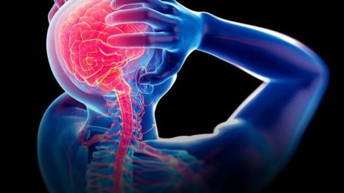 Empty Sella Syndrome, Gangguan Kesehatan Langka yang Menyerang Otak 