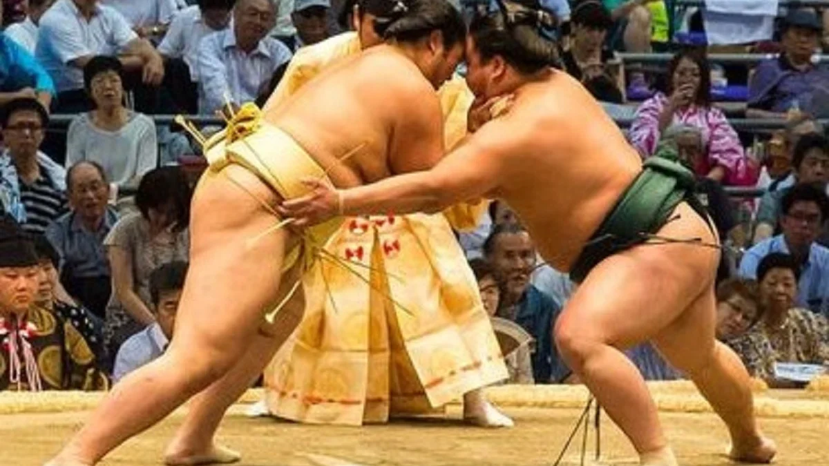 5 Fakta Menarik Tentang Olahraga Sumo yang Ternyata Tidak Harus Berbadan Gempal