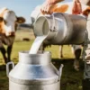 Mengenal Susu UHT dengan Susu Biasa, Apa Bedanya? 