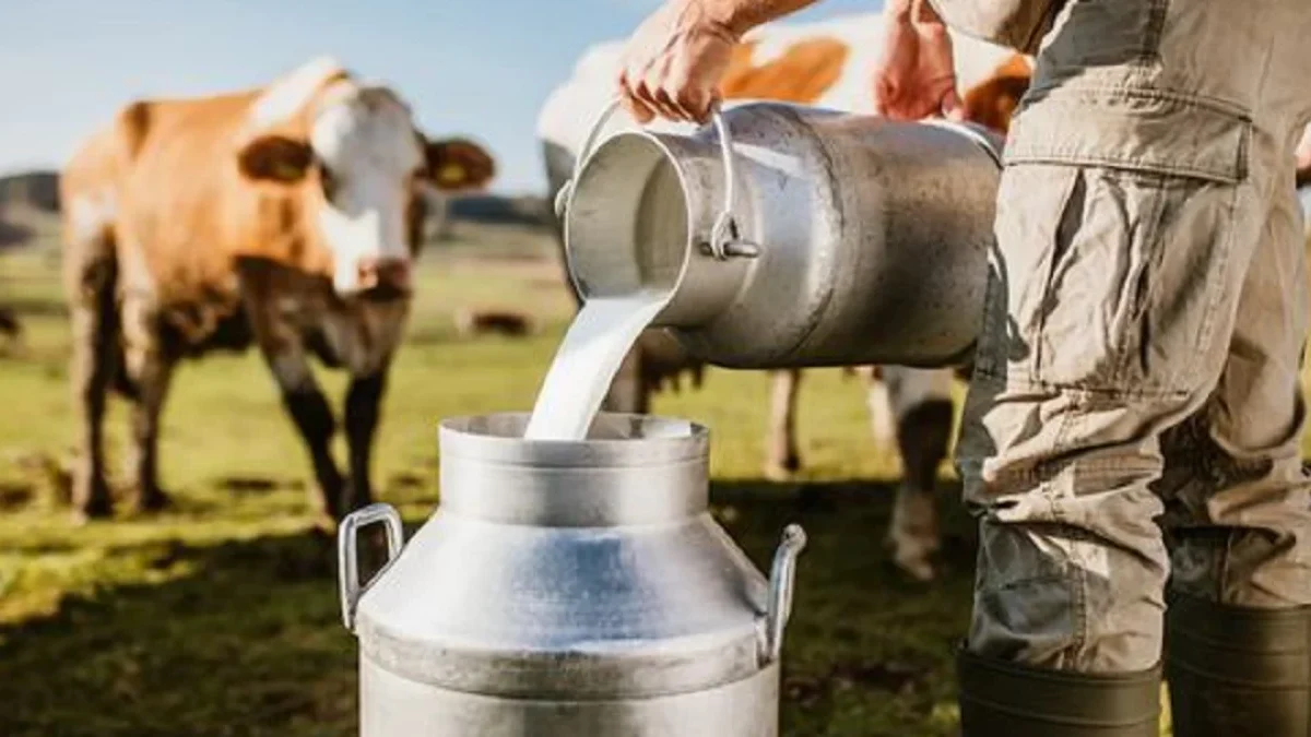 Mengenal Susu UHT dengan Susu Biasa, Apa Bedanya? 