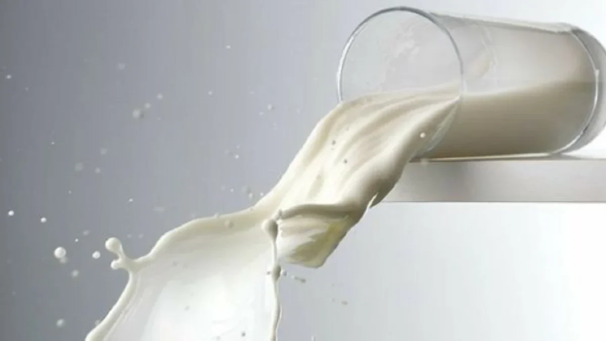5 Rekomendasi Susu UHT Full Cream untuk Anak 1 Tahun
