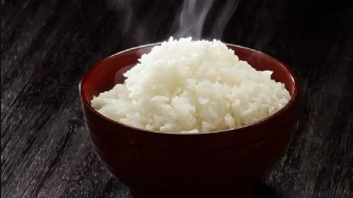 Berapa Sendok Nasi yang Baik untuk Diet? Ini Ulasan dan Tipsnya!