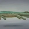 Dakosaurus Monster Penghuni Laut Prasejarah 
