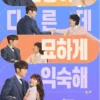 Jadwal Tayang Drama Korea Miss Night And Day dari Episode 1-16 di Netflix