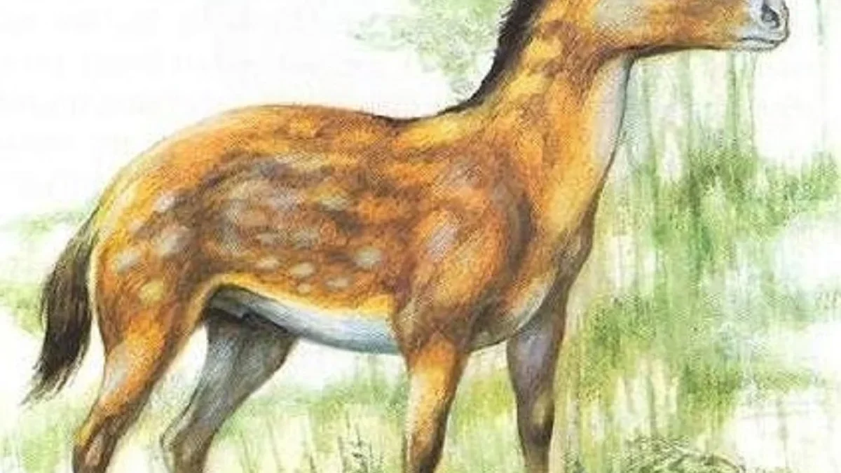 4 Spesies Kuda Purba yang Pernah ada dan hidup di Daratan Bumi Serta Berkeliaran di Padang Rumput